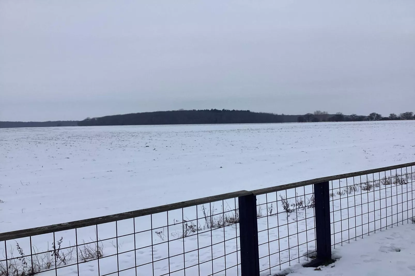 6 Personen Ferienhaus in Dannemare