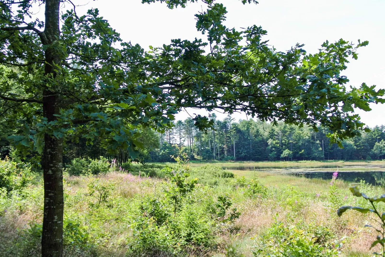 4 Personen Ferienhaus in Aars-By Traum-Im Freien