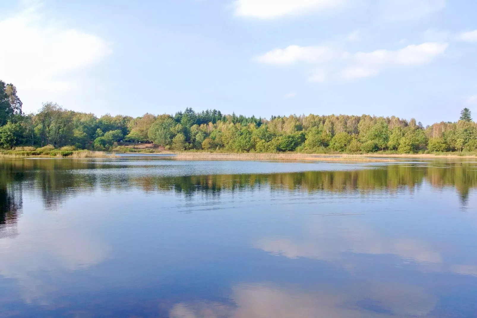 4 Personen Ferienhaus in Aars-By Traum-Im Freien