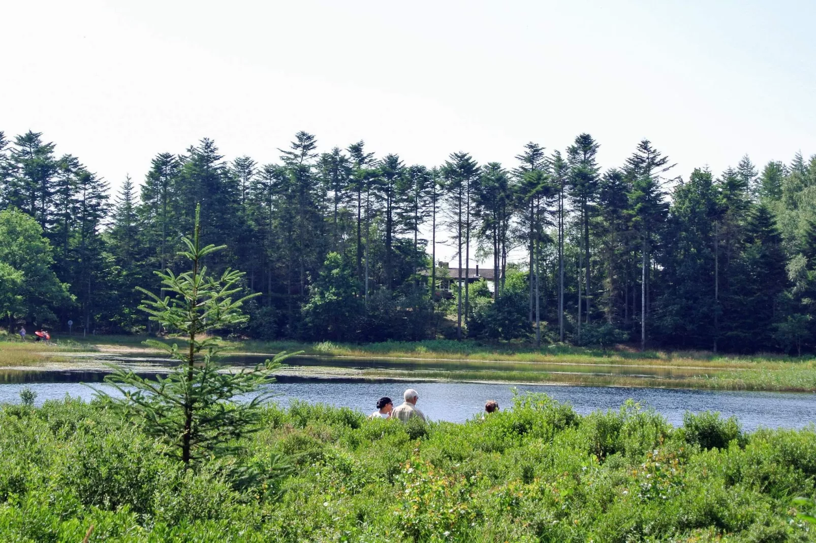 4 Personen Ferienhaus in Aars-By Traum-Im Freien