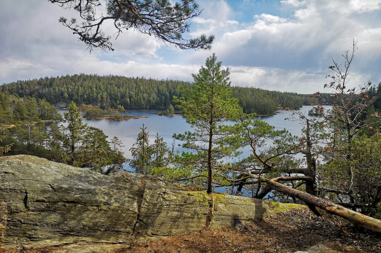 Maison de vacances pour 4 a HÄLLEVADSHOLM-Non tagué