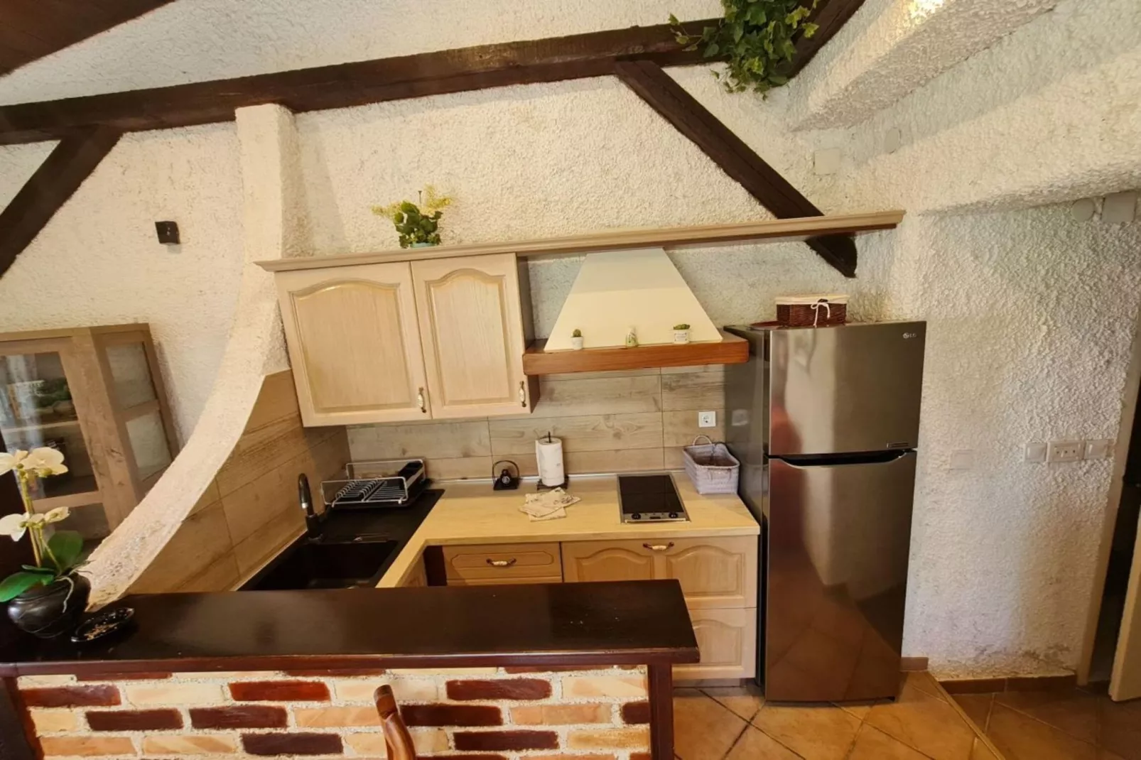 Apartment Erna in Porec, Istria - Kitchen