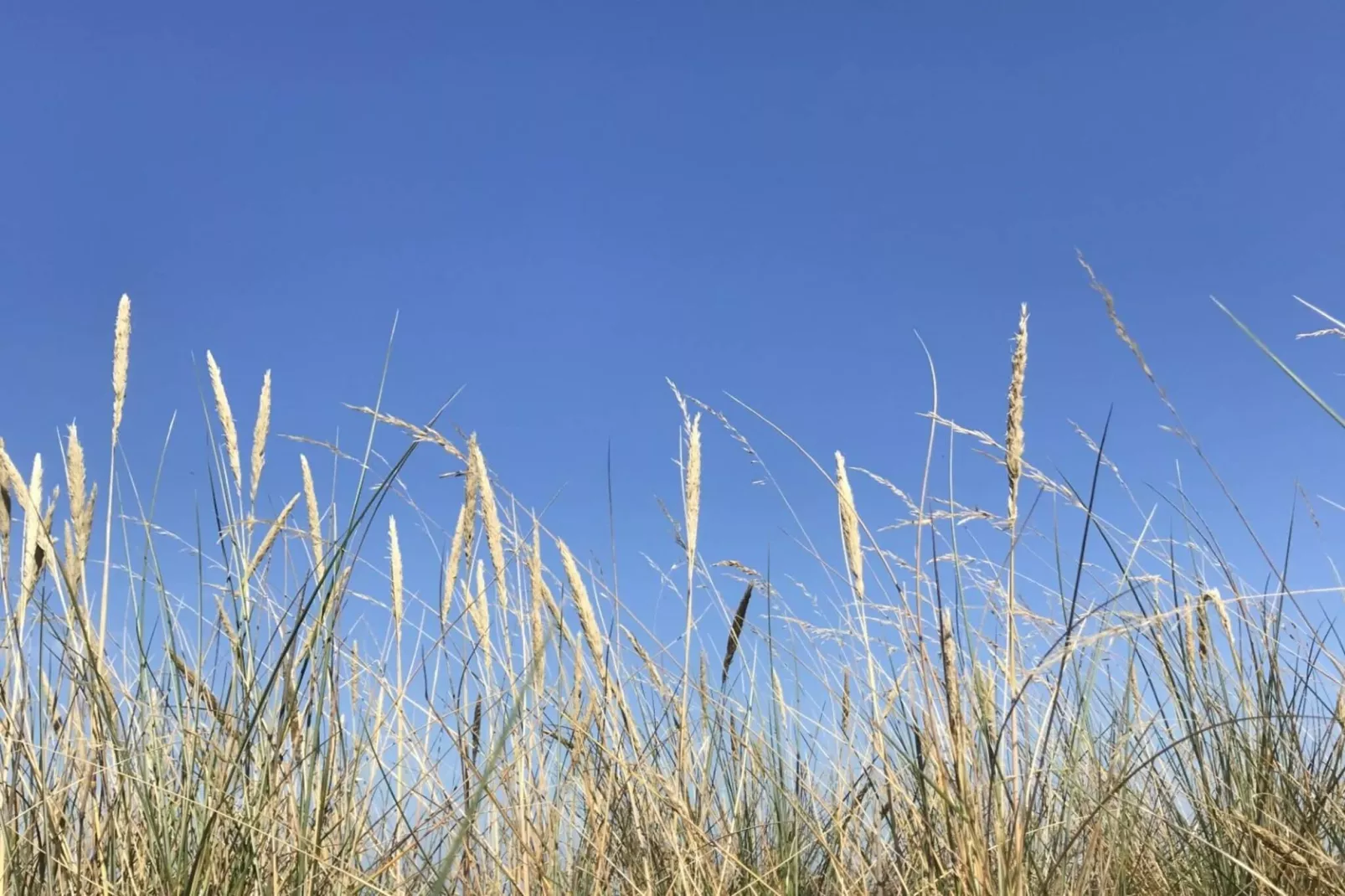 5 etoiles maison de vacances a Lärbro-Non tagué