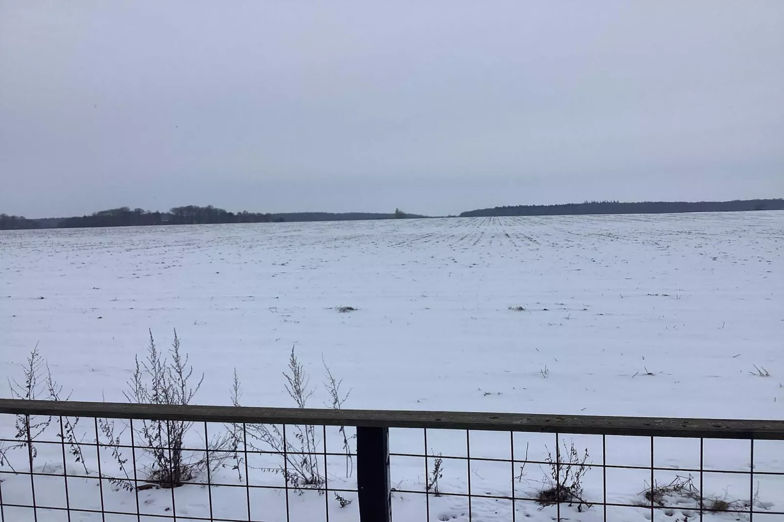 6 Personen Ferienhaus in Dannemare-Im Freien