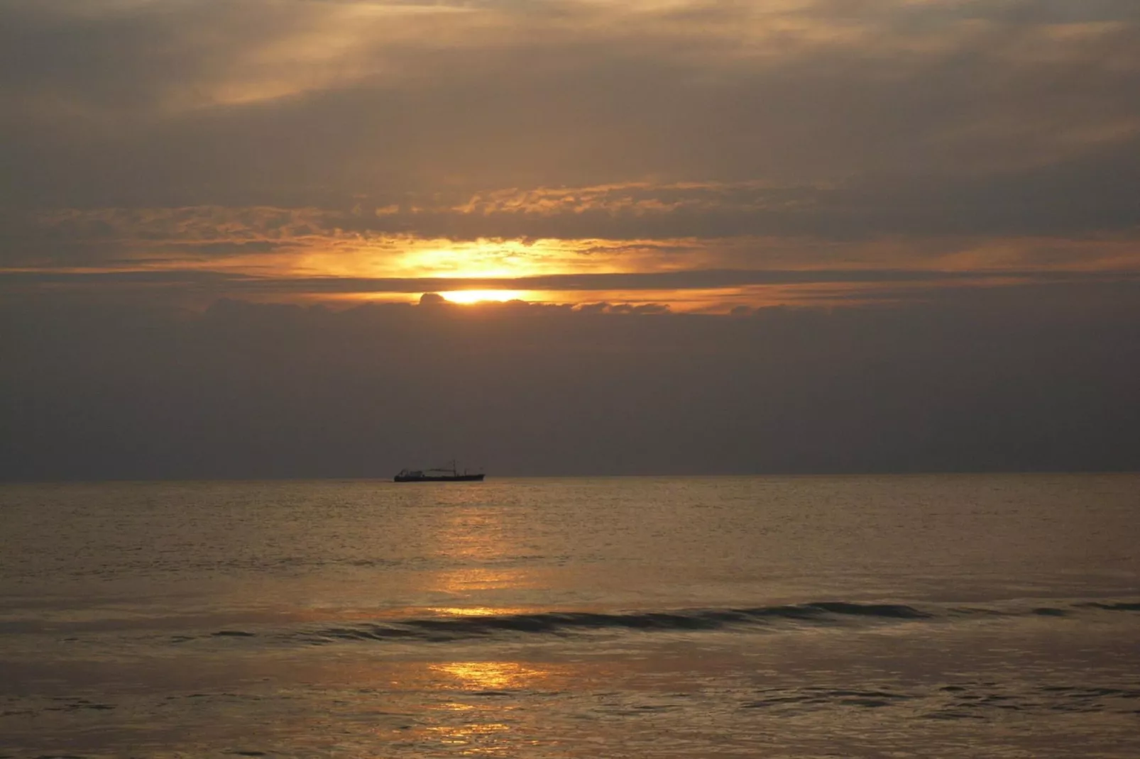 Campanula 56 - Zones été à 5 km