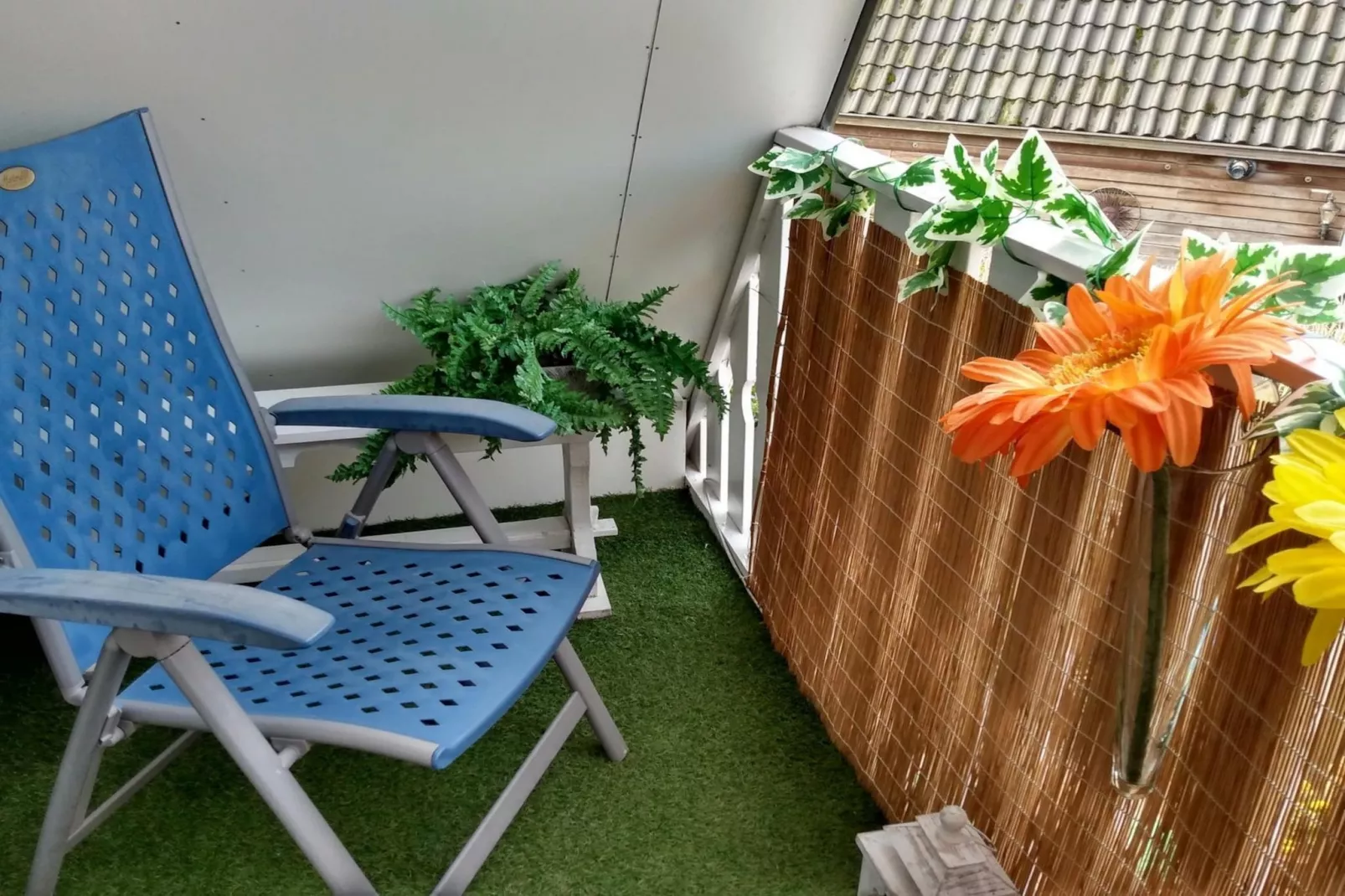 Vogelvrij 6-Terrasse/Balkon