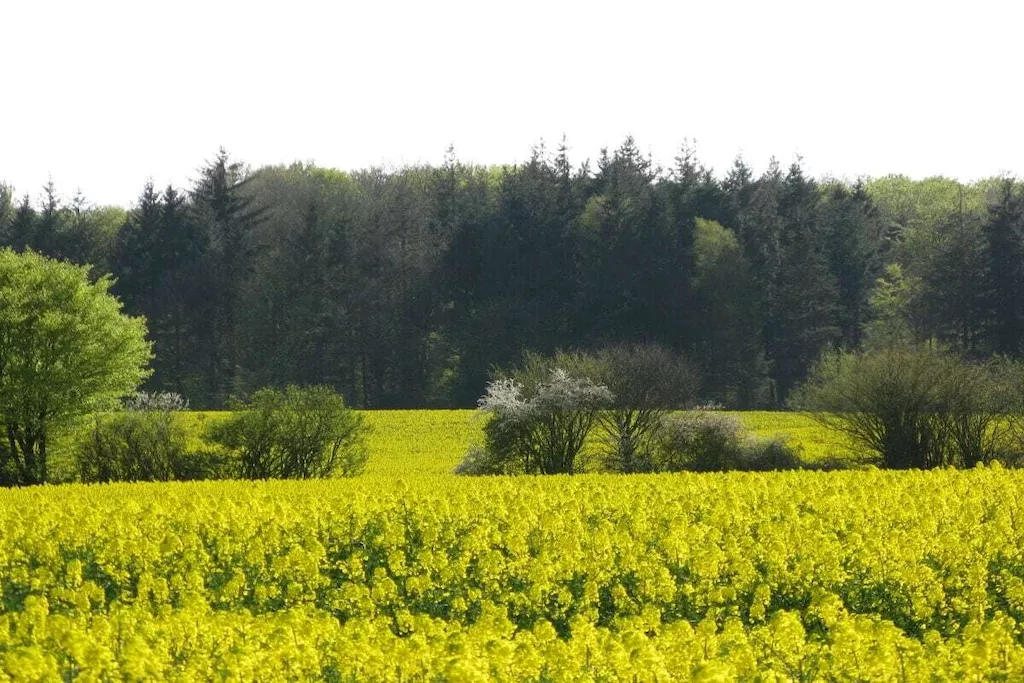 289644-Nicht zugeordnet