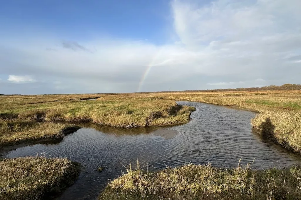766654-Nicht zugeordnet