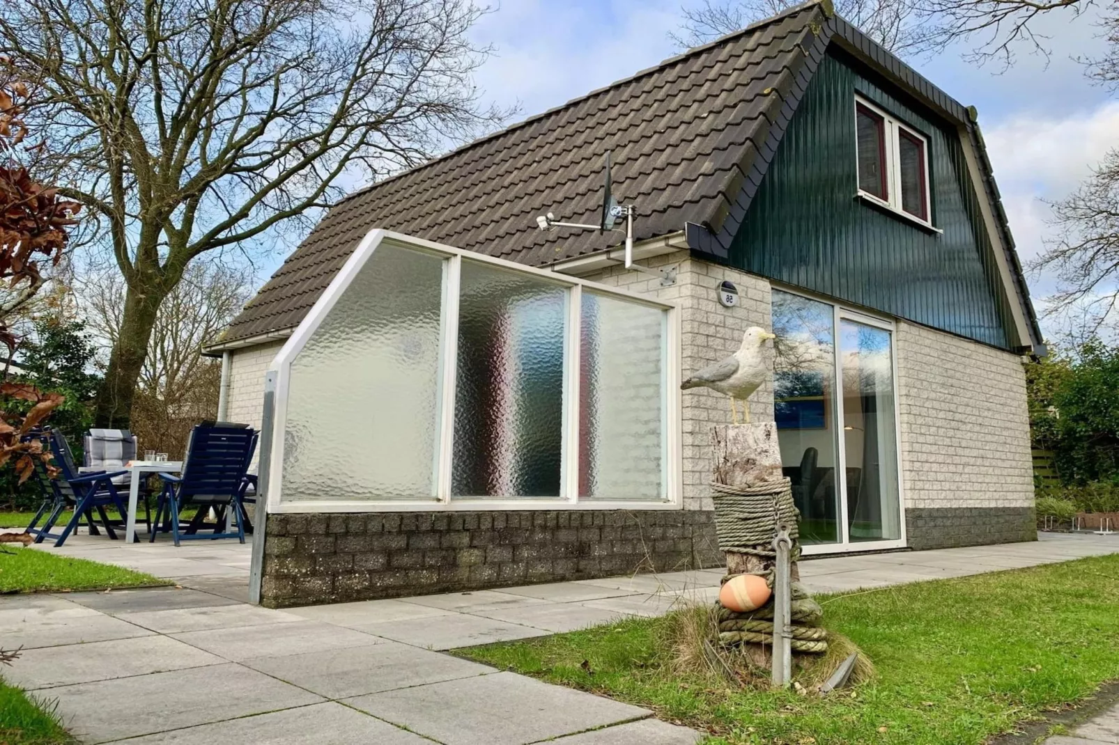 Campanula 56 - Extérieur été