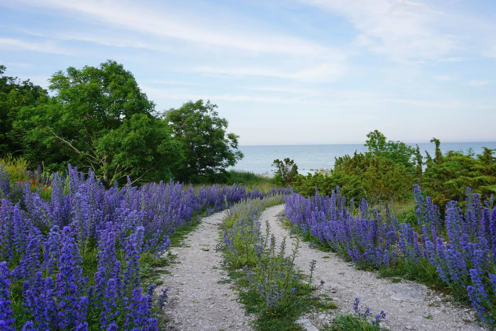 5 etoiles maison de vacances a Lärbro-Non tagué