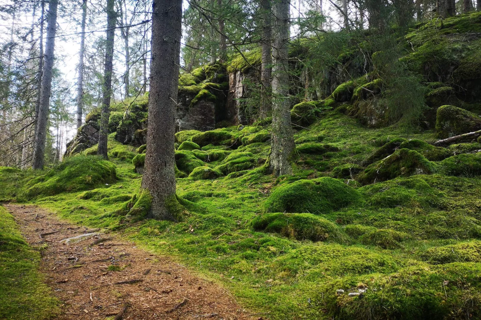 Maison de vacances pour 4 a HÄLLEVADSHOLM-Non tagué