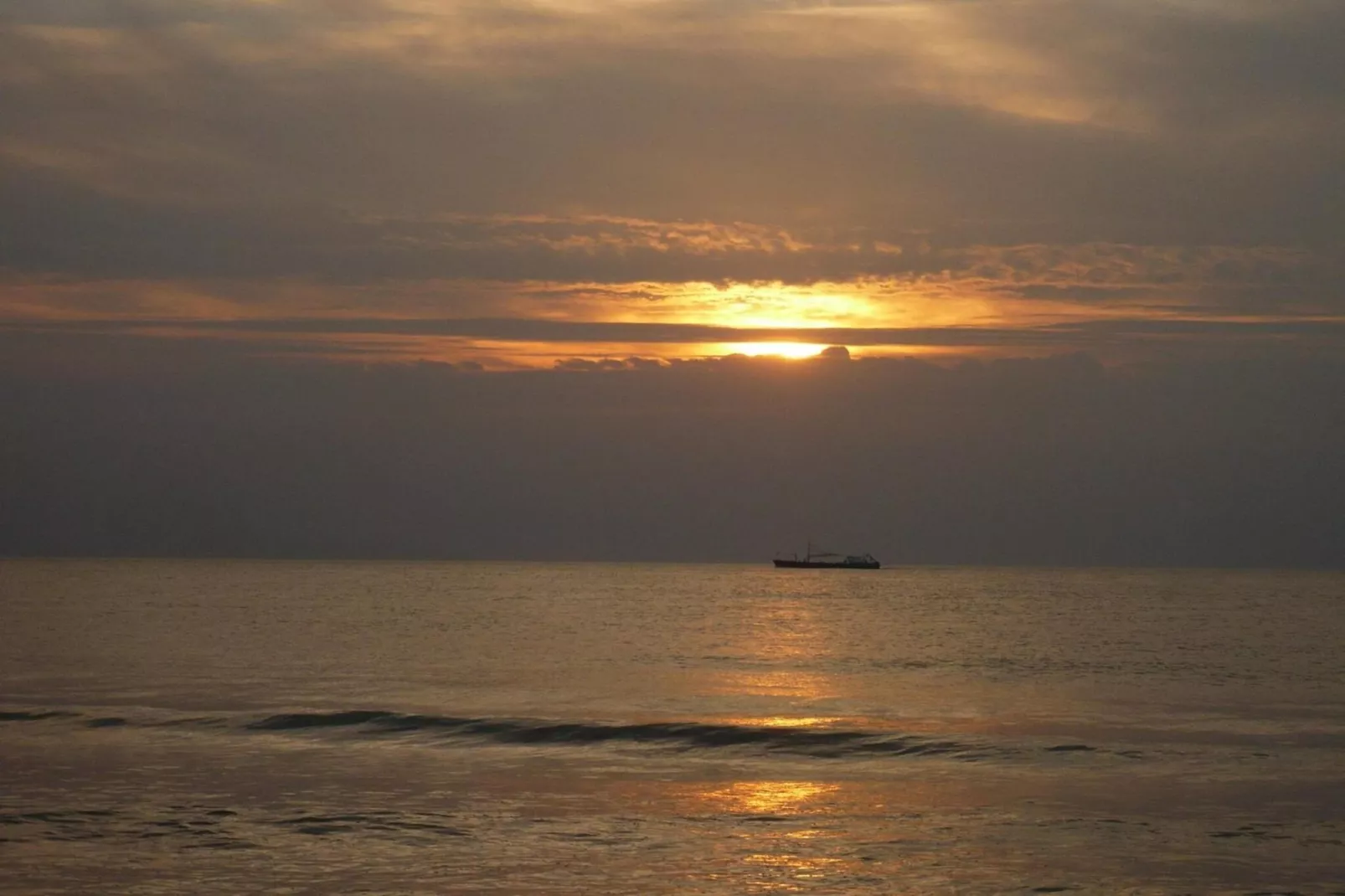 Campanula 56 - Zones été à 5 km