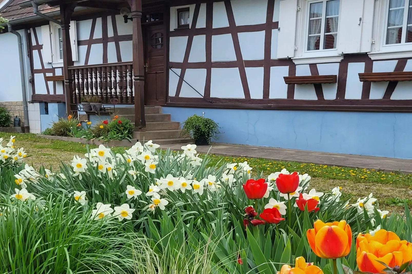 Maison de vacances - SCHLEITHAL-Exterior in summer
