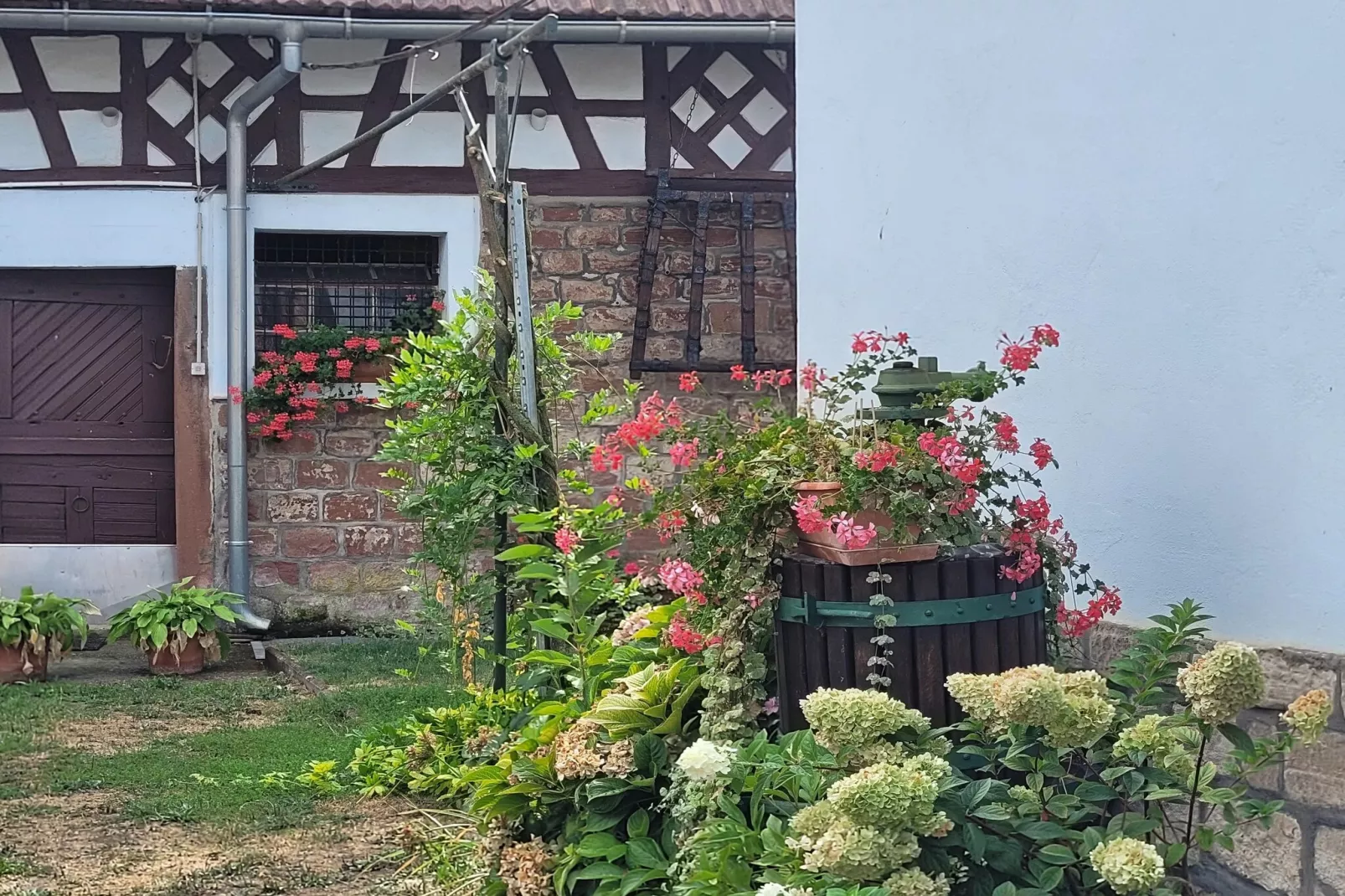 Maison de vacances - SCHLEITHAL-Gardens in summer