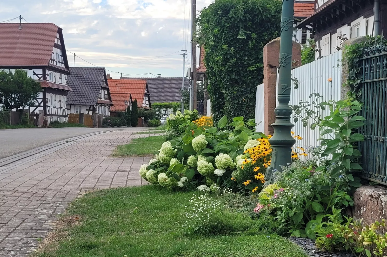 Maison de vacances - SCHLEITHAL-Areas within 1km in summer