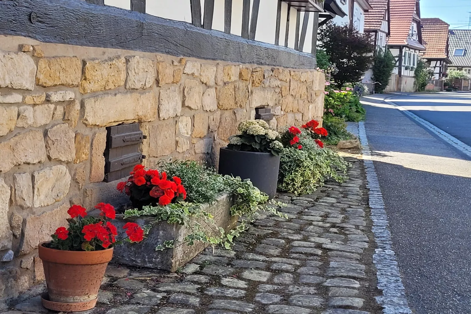 Maison de vacances - SCHLEITHAL-Areas within 1km in summer