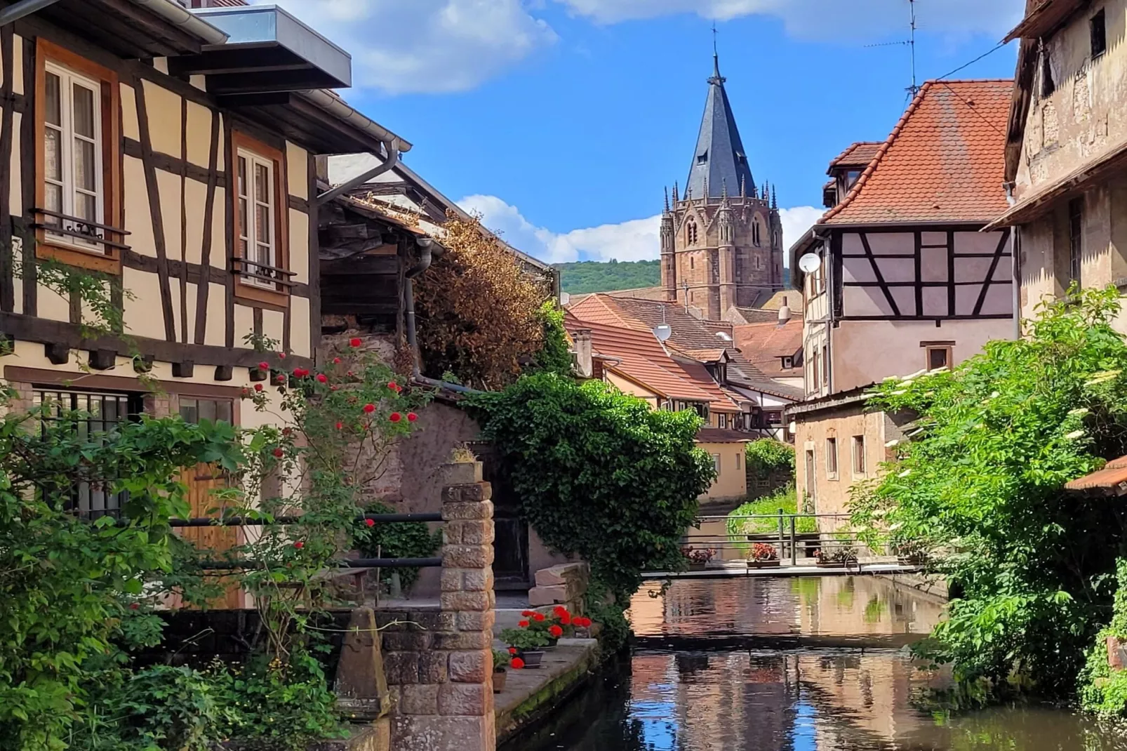 Maison de vacances - SCHLEITHAL-Areas within 1km in summer