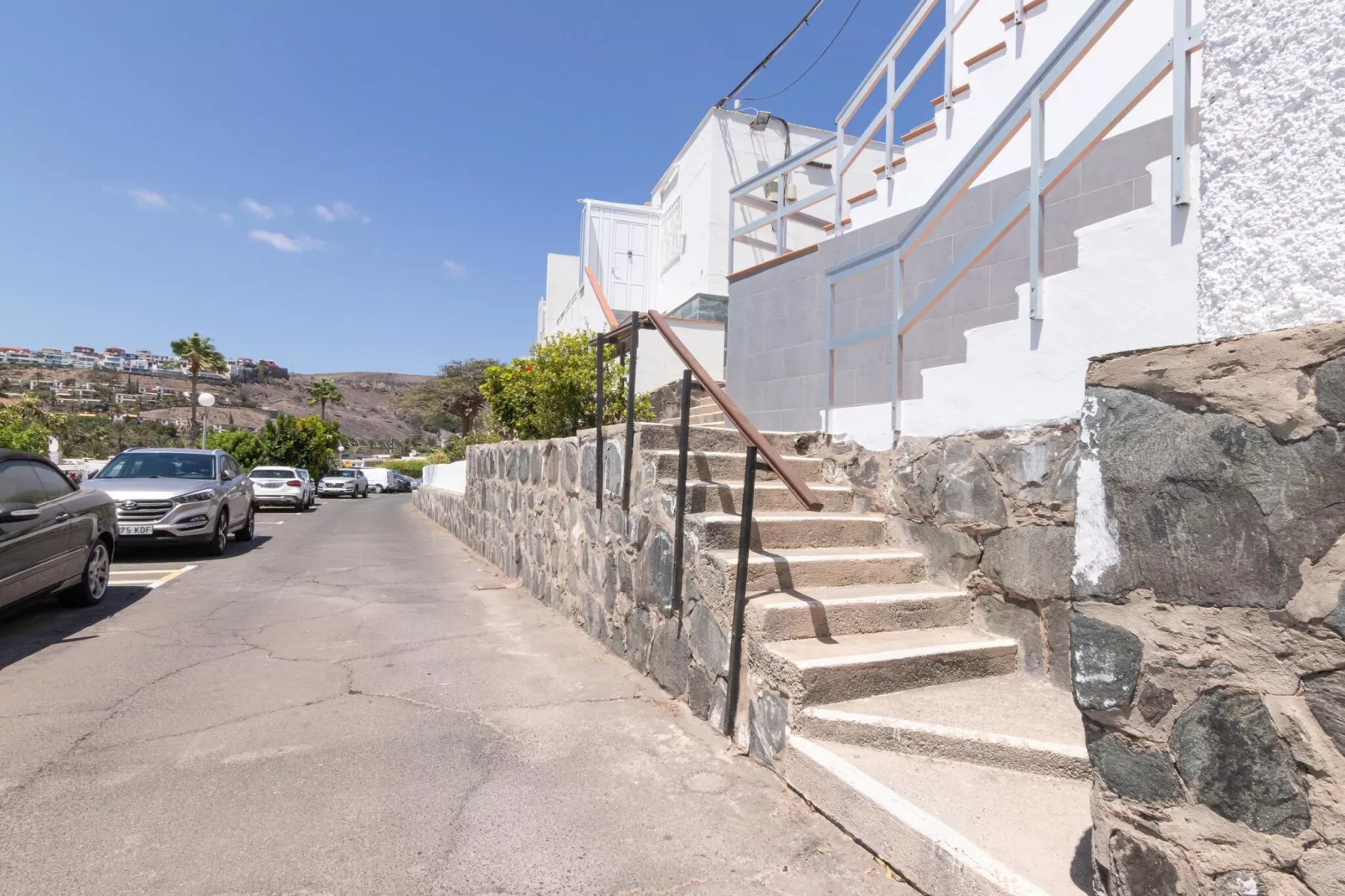 NUEVA SUECIA 523										-Areas within 1km in summer