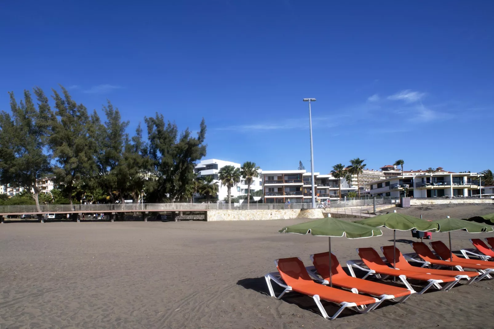 SIESTA 21-Areas within 5km in summer