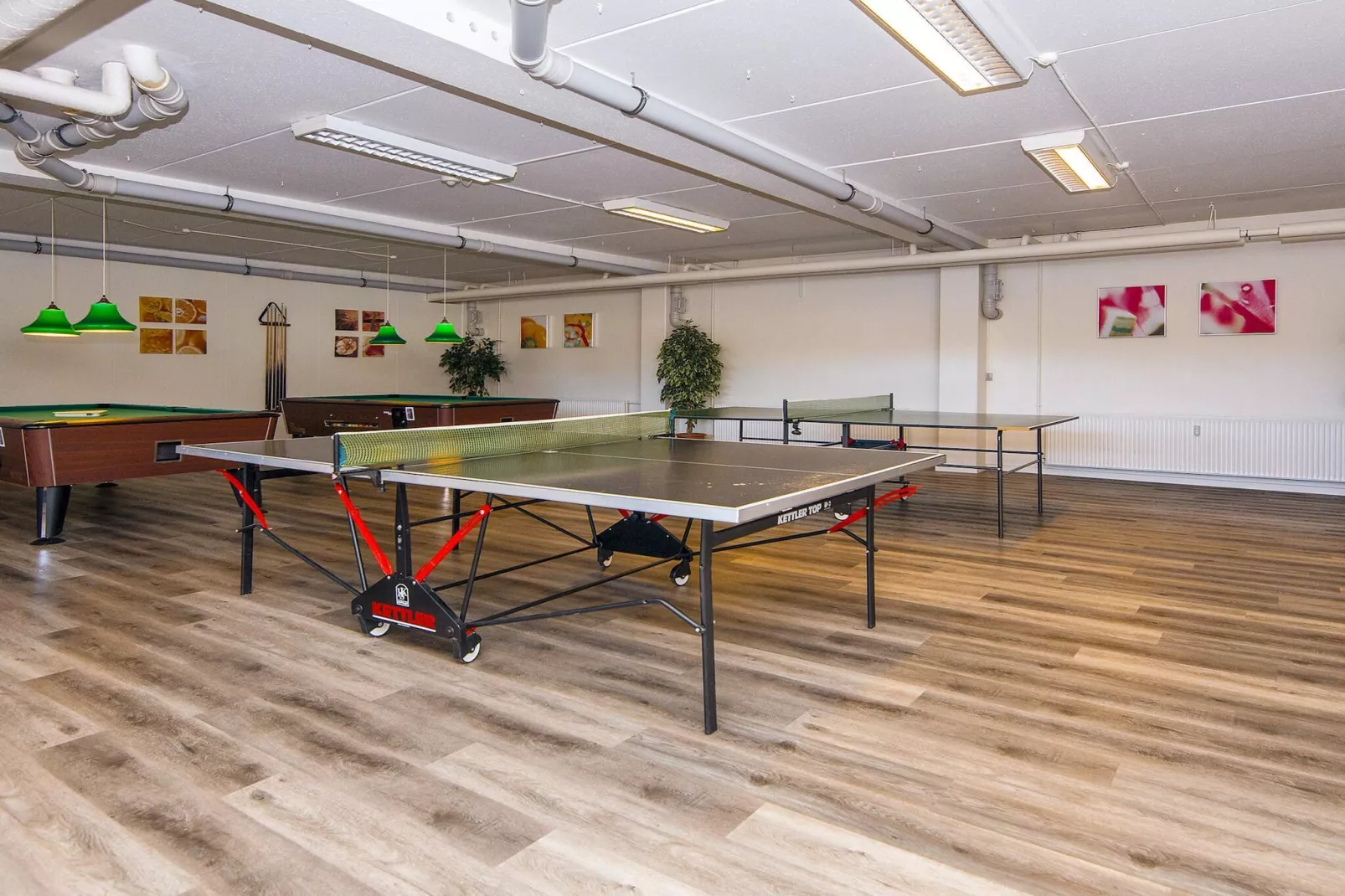 2 room,ground floor or 1. - Non tagué