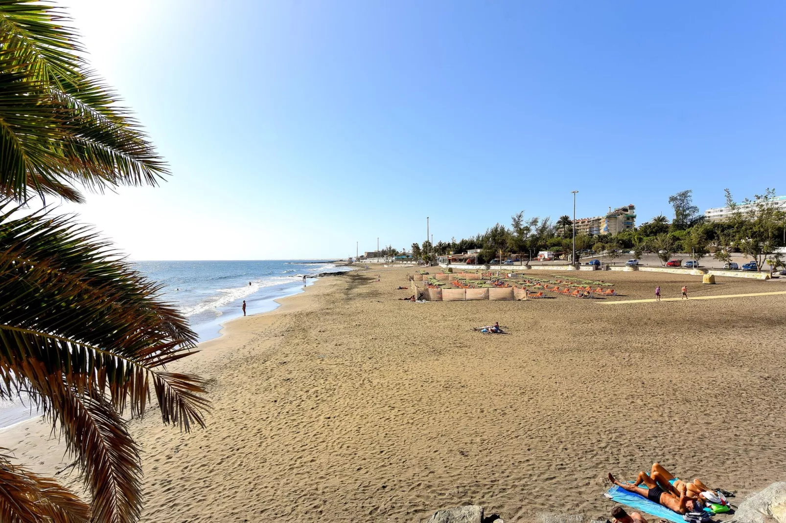 NUEVA SUECIA 523										-Areas within 5km in summer