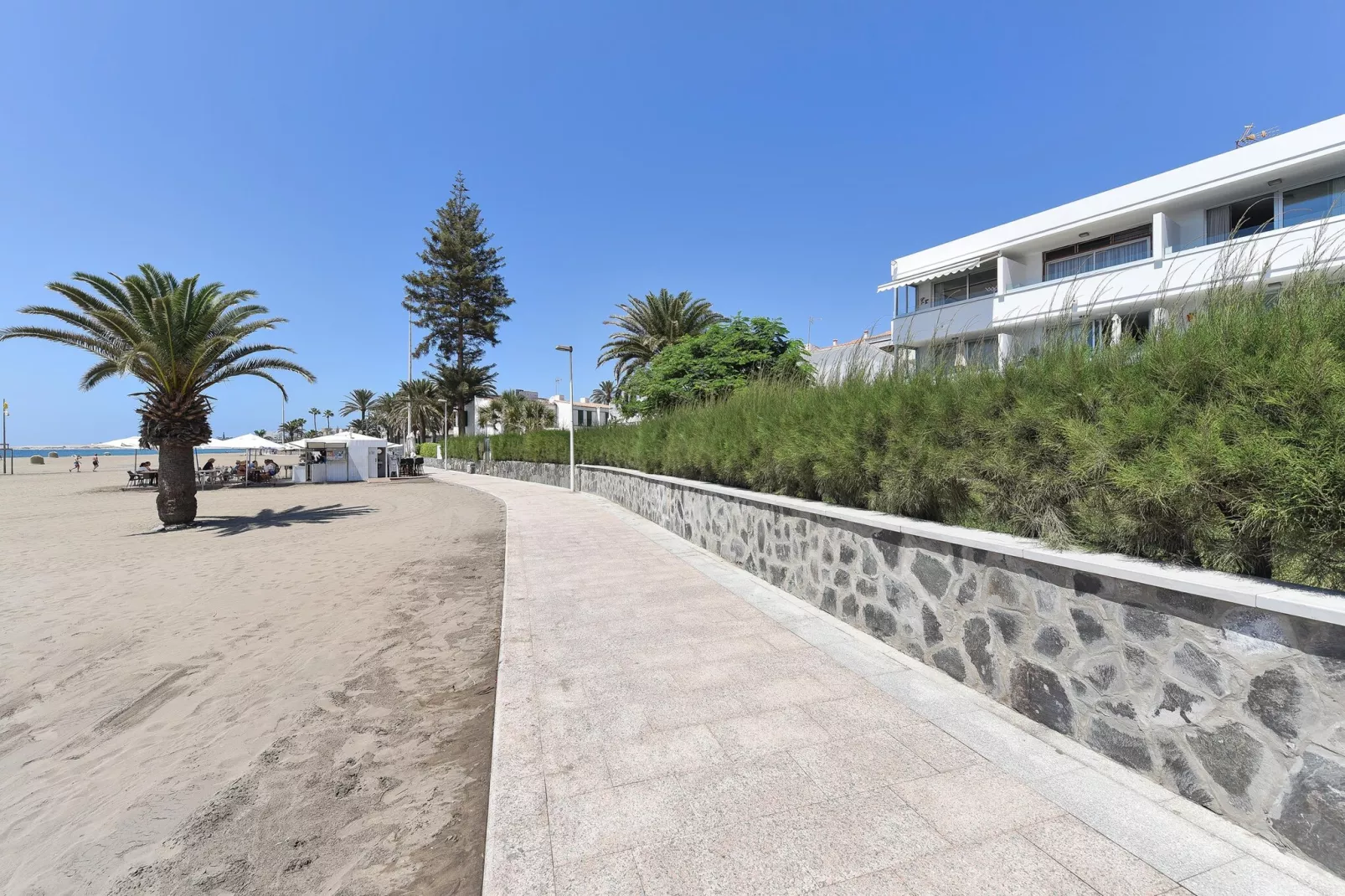 NASAS 12										-Areas within 1km in summer