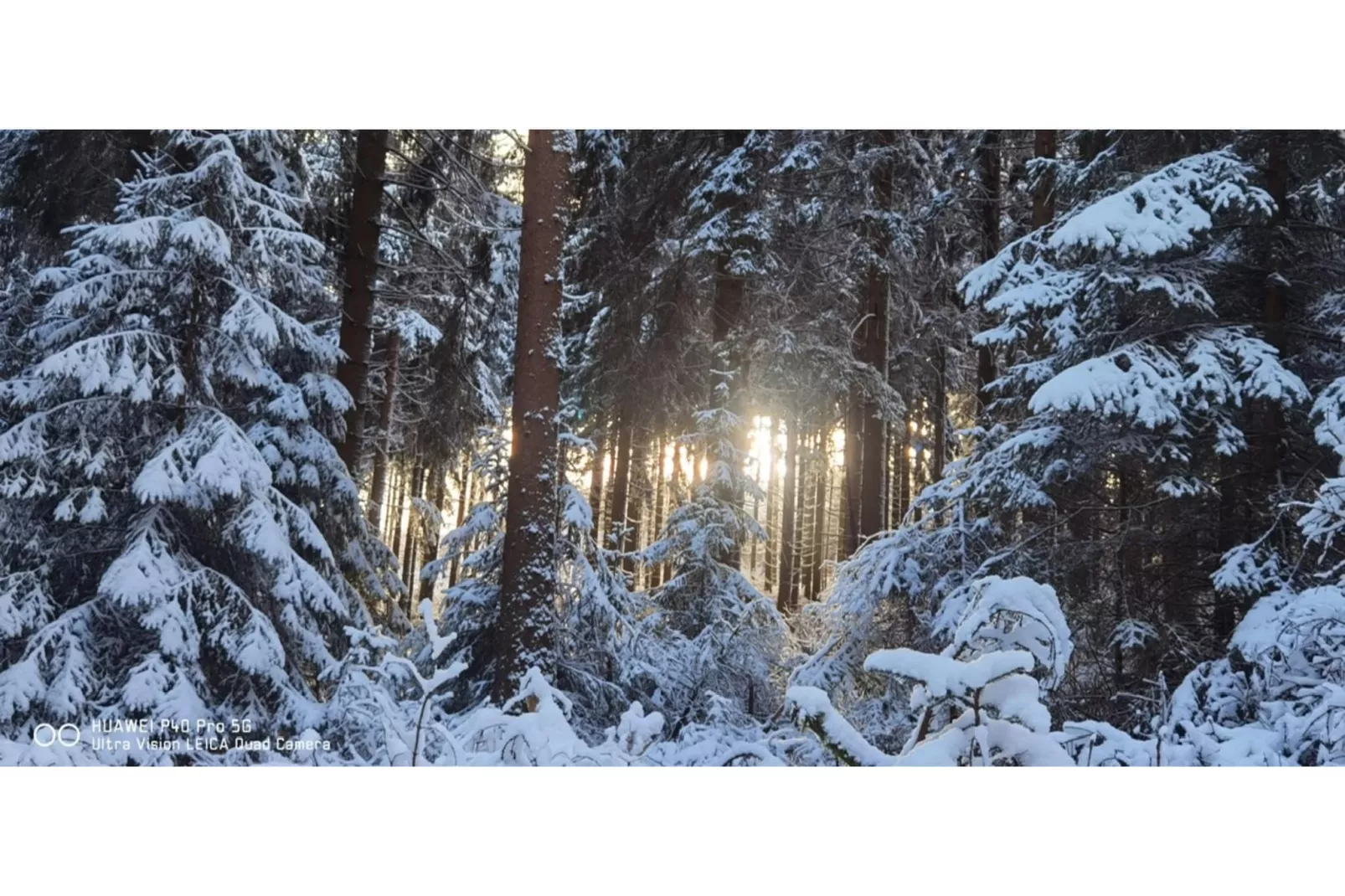 Möhrenbach-Gebiet Winter 1 km