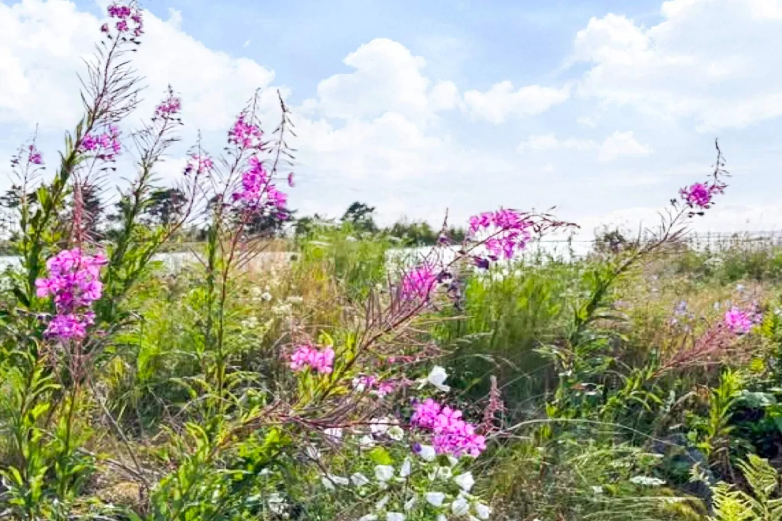 4 person holiday home in KRISTINEHAMN-Outdoor