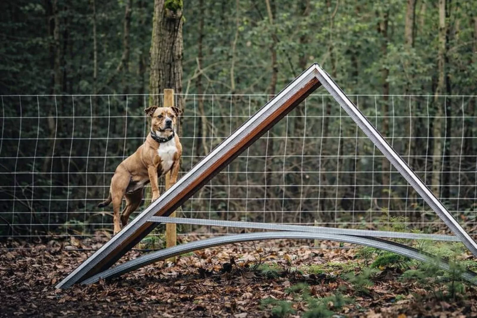 Beach house - Jardins en été