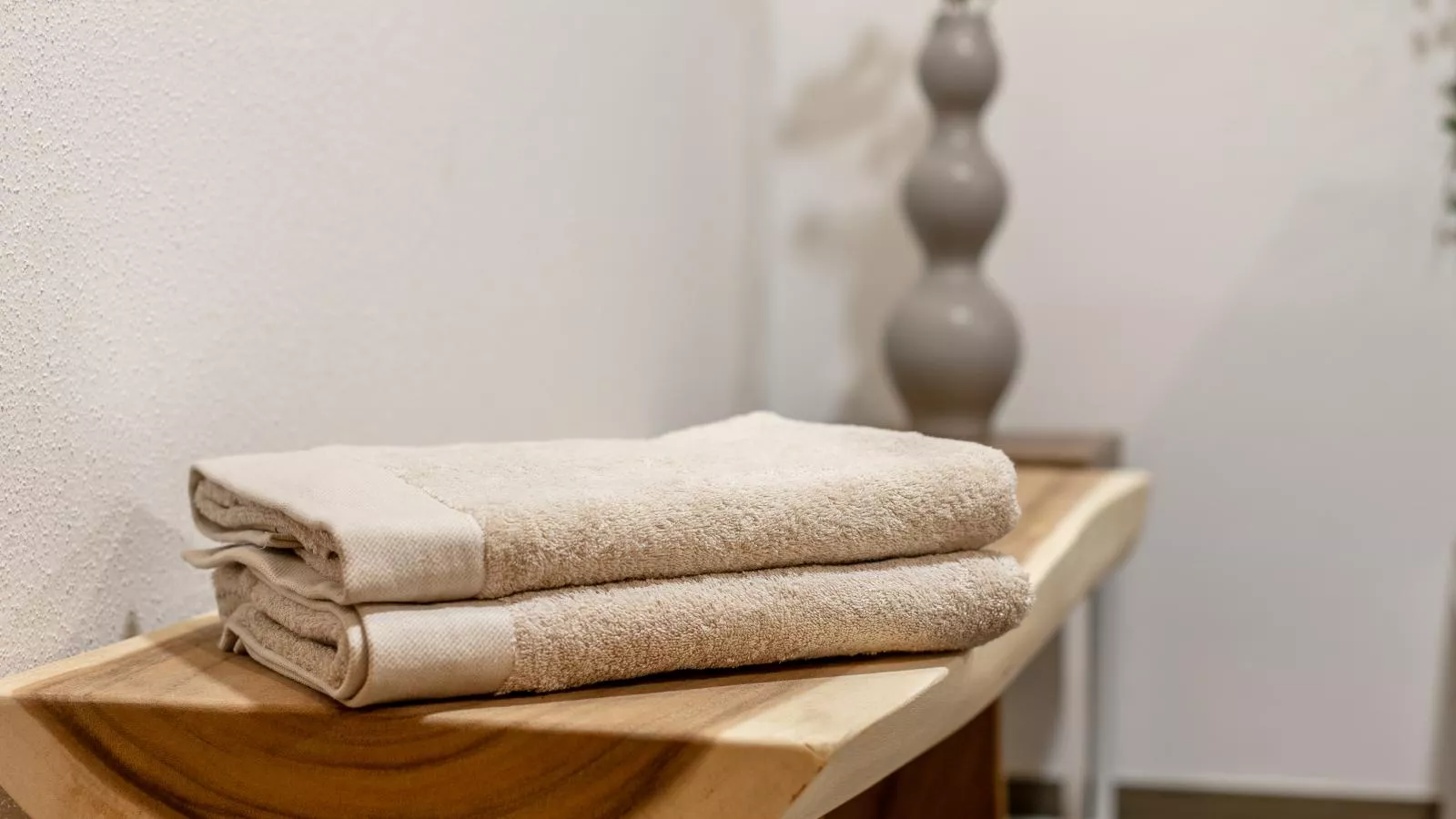 Tauernlodge Eben D3 Large-Ambiance