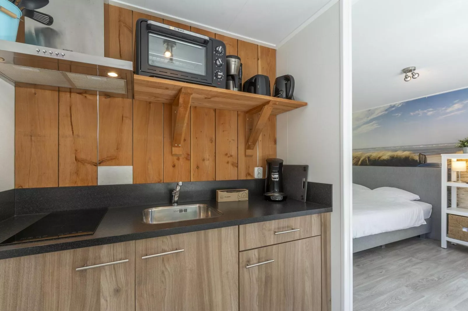 Beach Studio Campanula