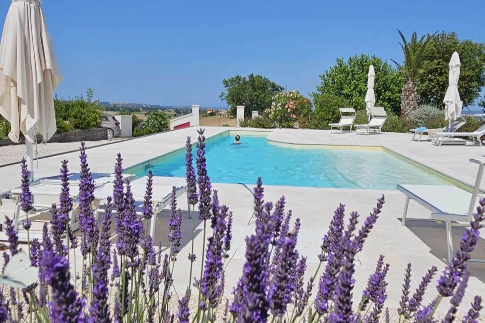 Lavanda - Piscine