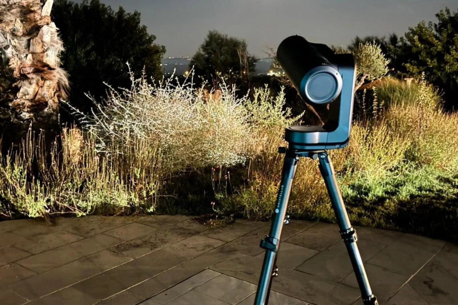 Lavanda - Jardins en été