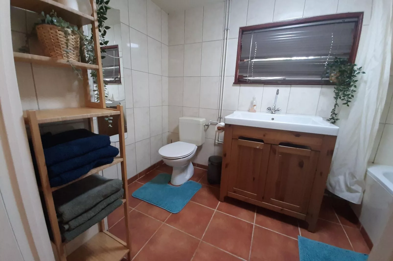 Boshuisje Voorthuizen-Bathroom