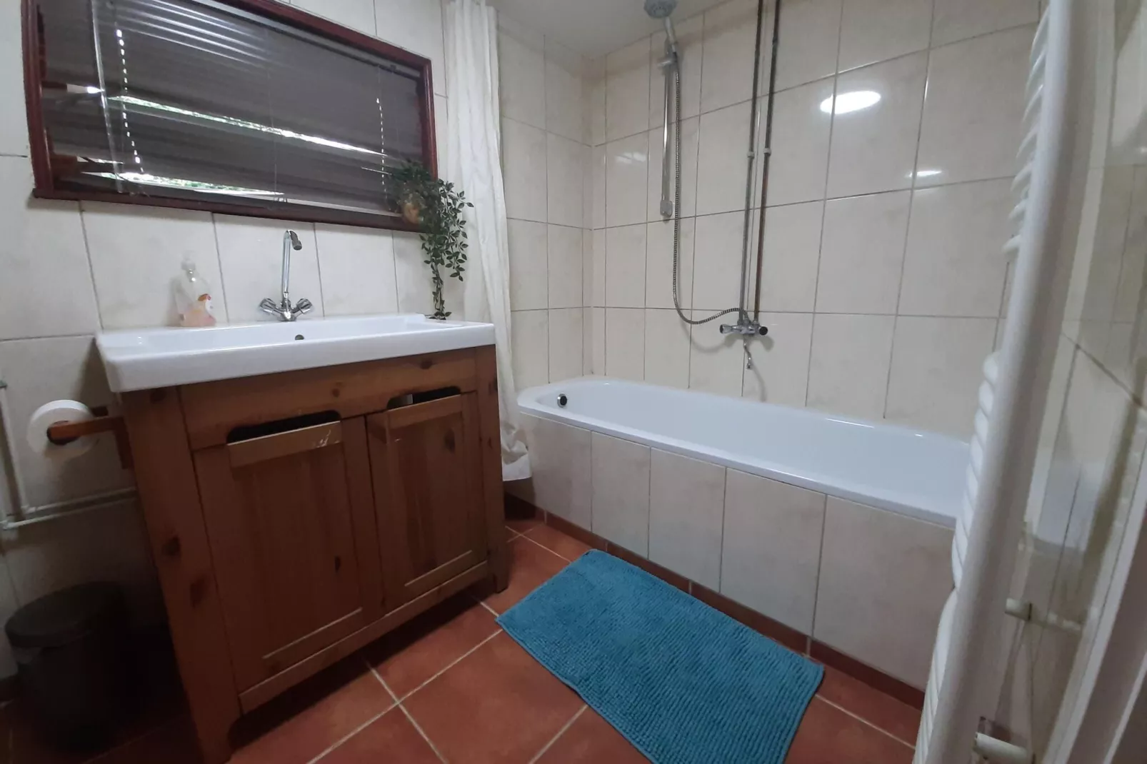 Boshuisje Voorthuizen-Bathroom