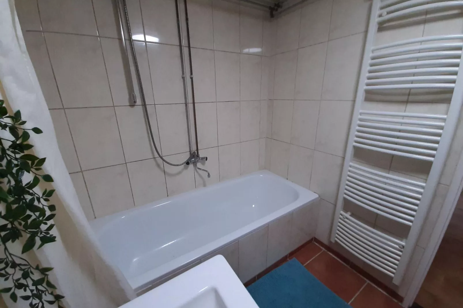 Boshuisje Voorthuizen-Bathroom