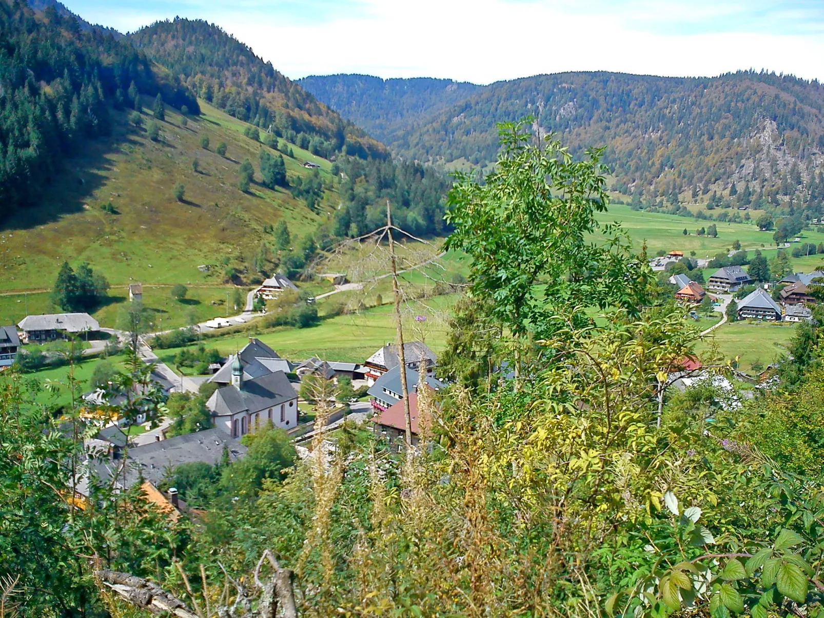 Schwarzwaldhaus St. Blasien, direkt am Bach - Area