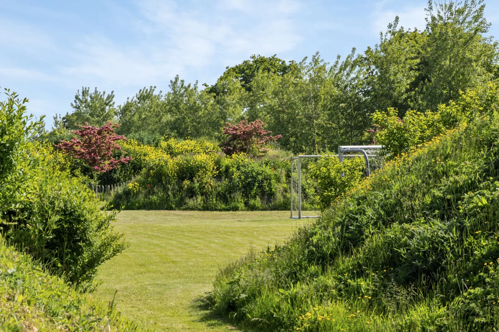 Langedijk 4 / 16 pax met jacuzzi extra kosten-Gardens summer