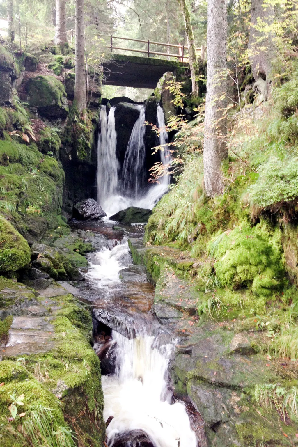 Gästehaus a Feldberg - Environnement