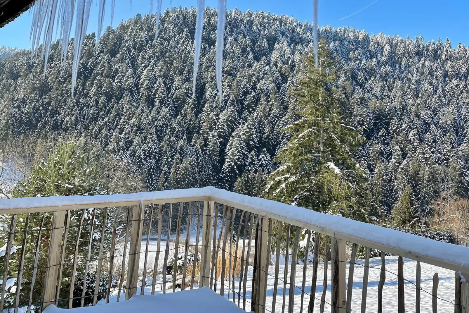 Schwarzwald - Terrace balcony