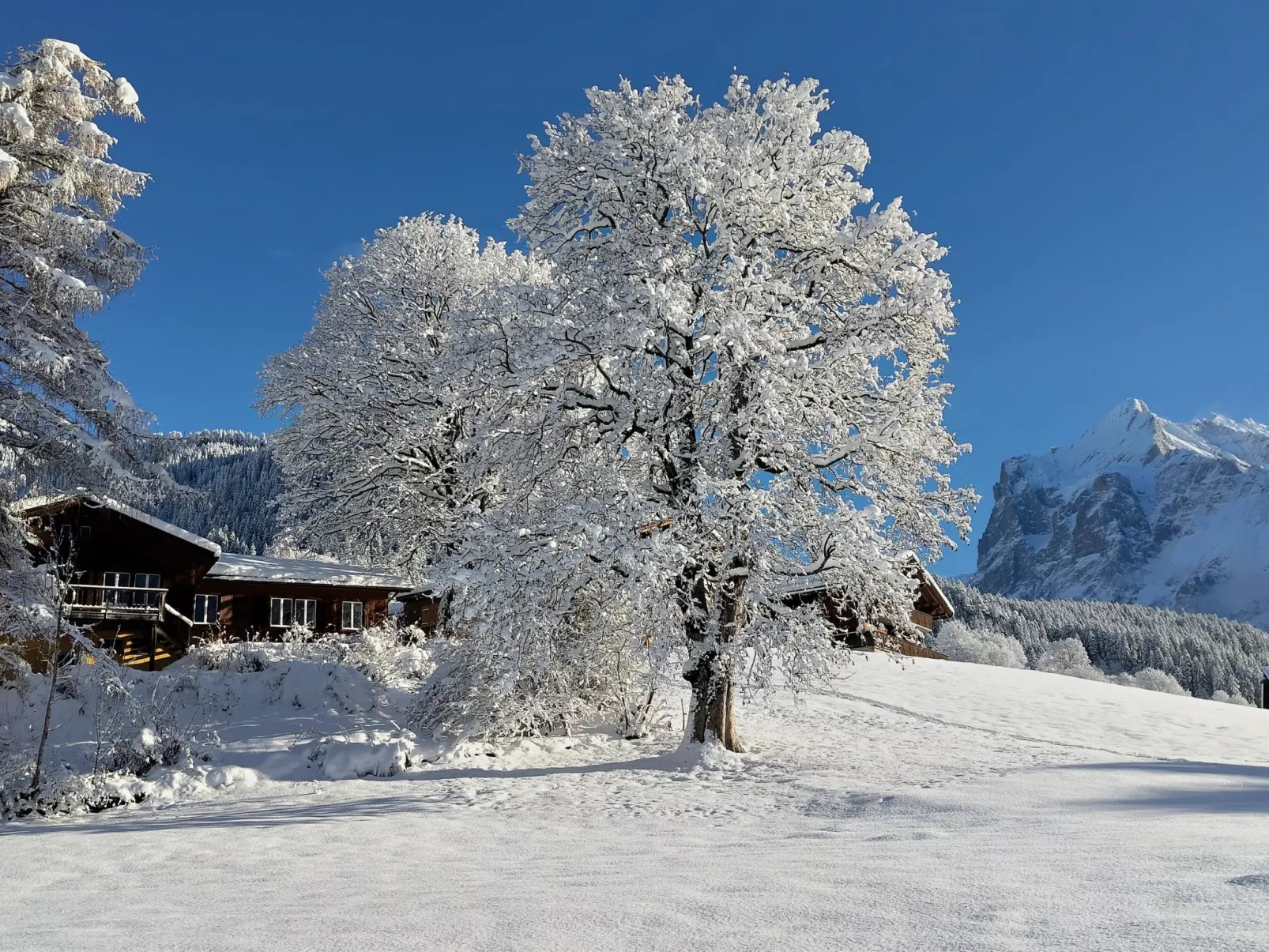 Tournelle 8 Bett Wohnung - Outside
