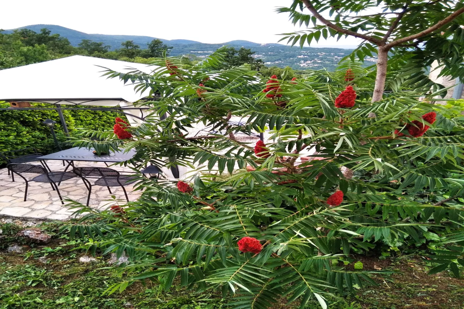 Holiday home Iva - Lovran Dobrec - ca 80 qm für 4 Pers - Extérieur