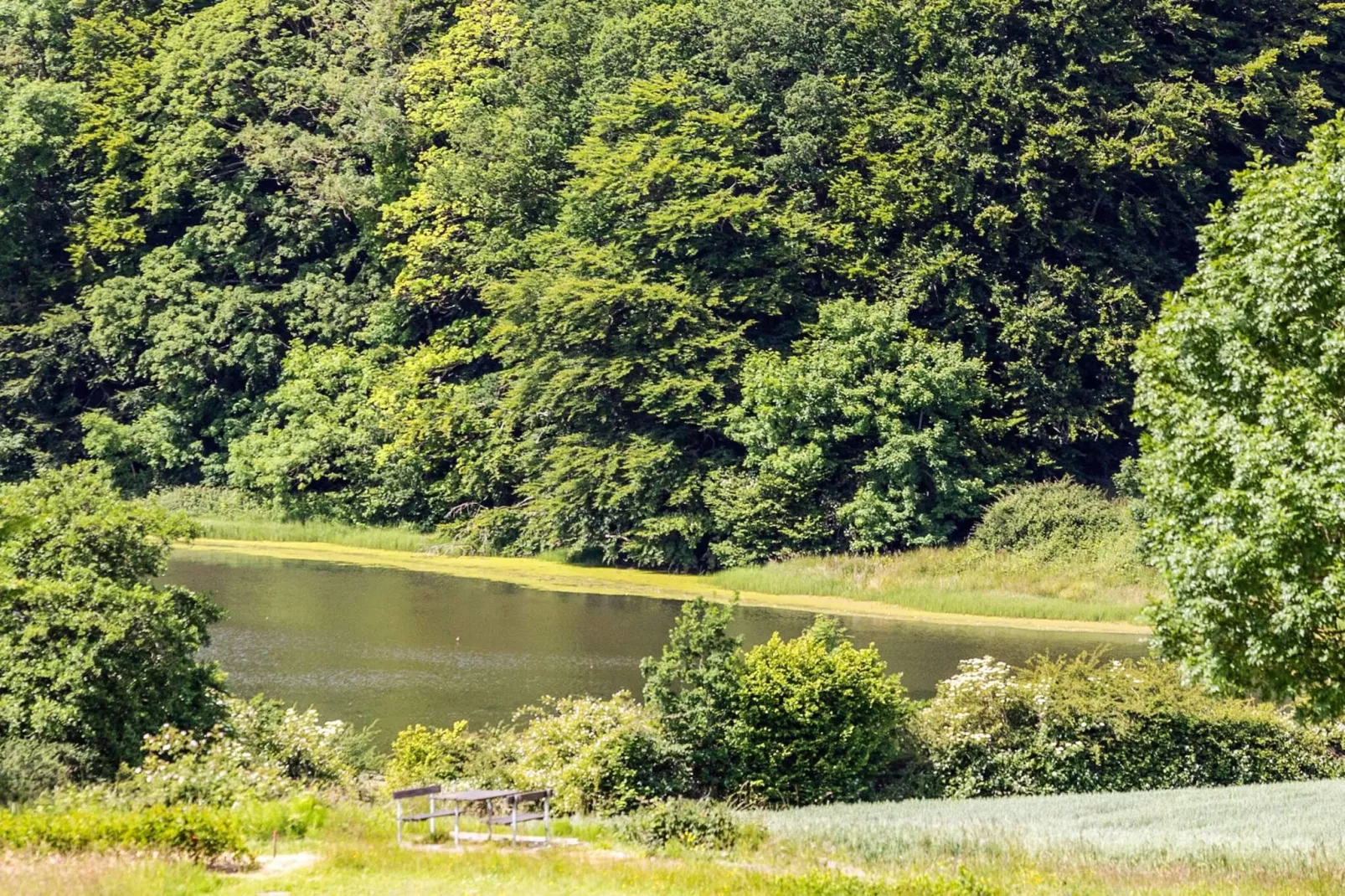 5 Sterne Ferienhaus in Aabenraa - Im Freien