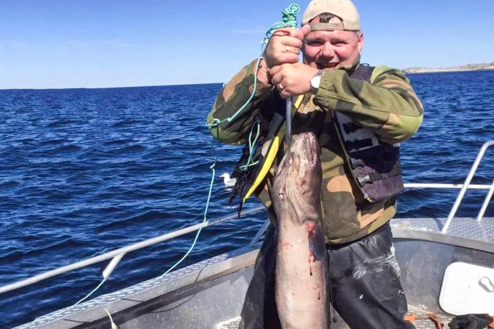 Maison de vacances pour 5 a Flatanger - Non tagué