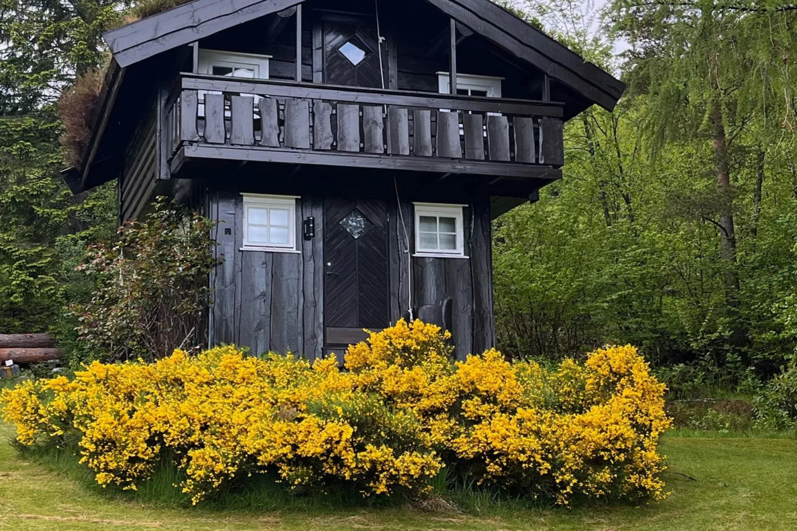 Maison de vacances pour 14 a Meisingset - Extérieur