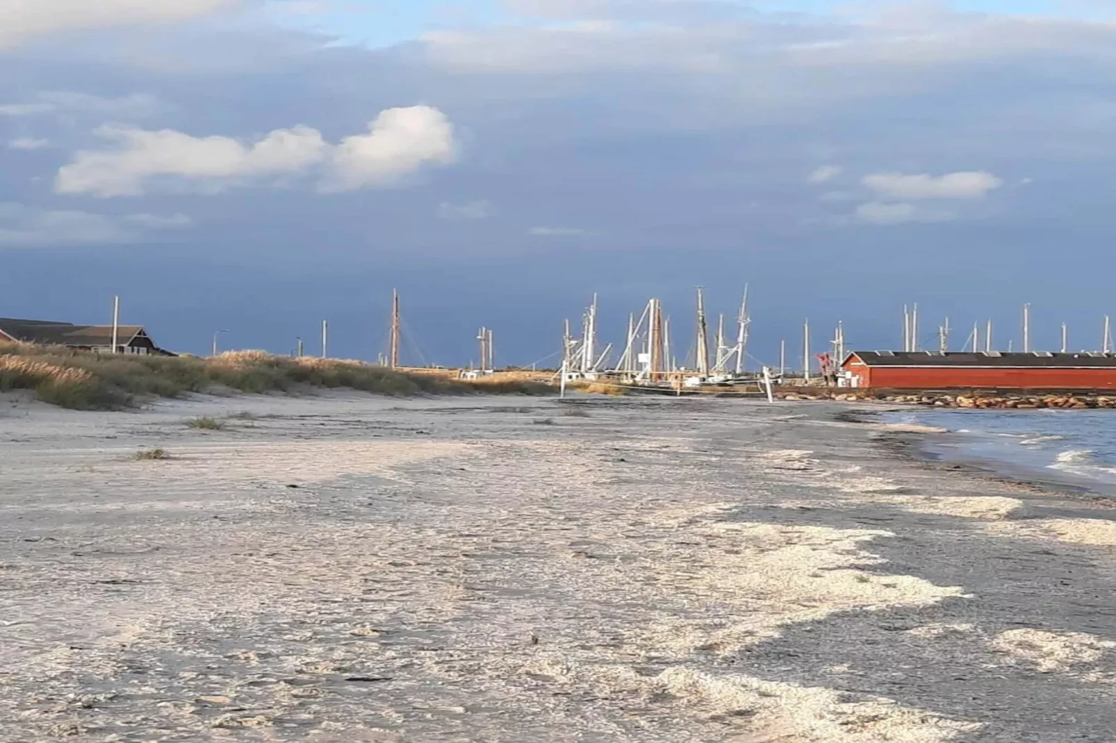 Maison de vacances pour 8 a Ålbæk - Non tagué