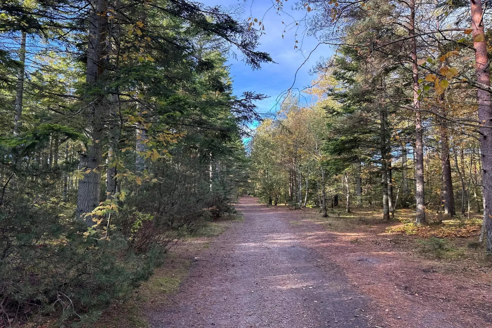 Maison de vacances pour 6 a Ålbæk - Non tagué