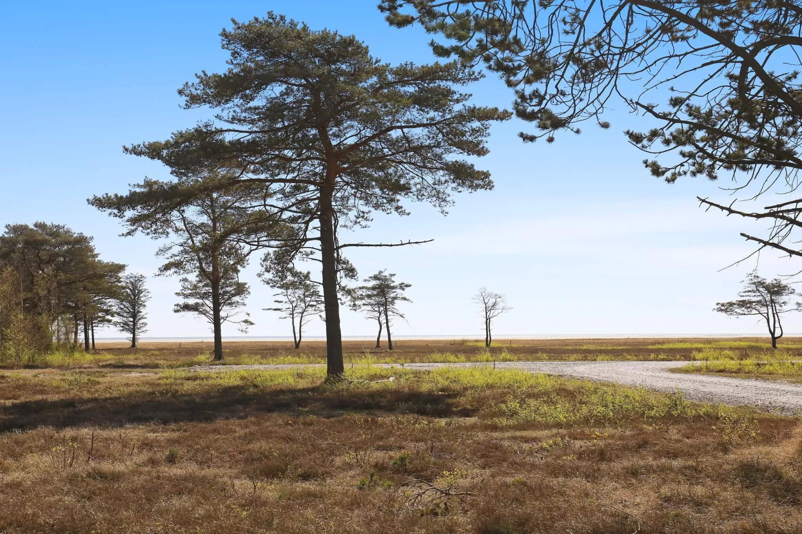 8 person holiday home in Læsø - Water view