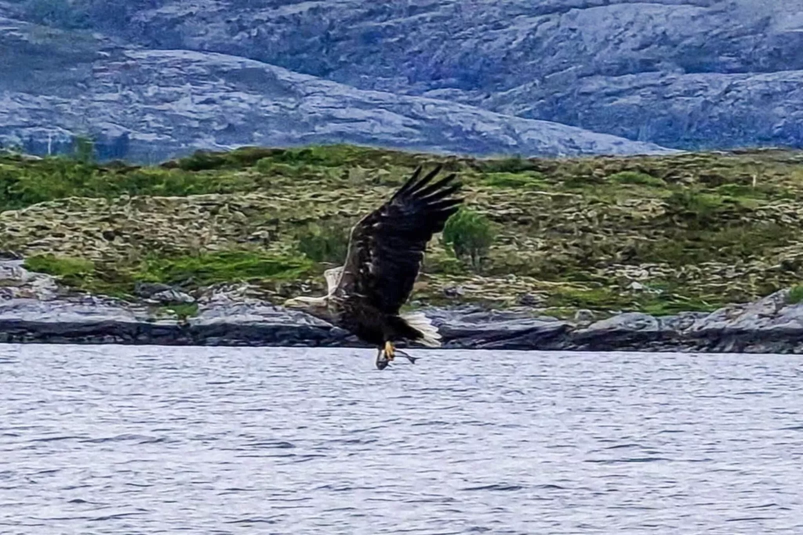 Maison de vacances pour 5 a Flatanger - Non tagué