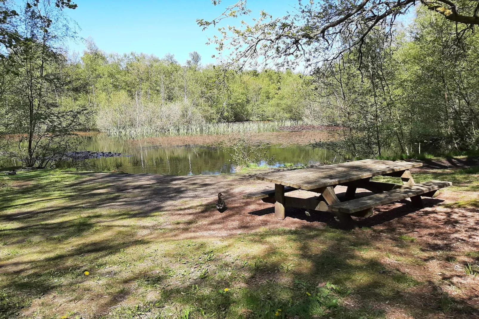 Maison de vacances pour 6 a Ålbæk - Non tagué